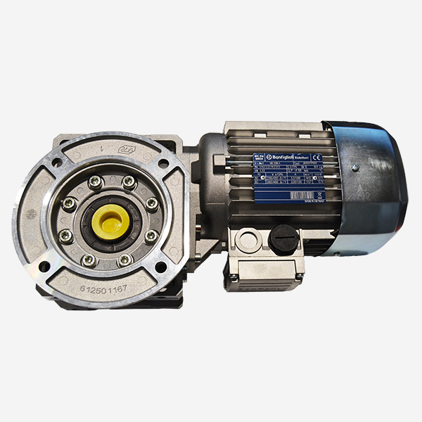 Motor reductor i10