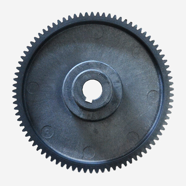 piñon-del-preestiro Piñon del preestiro