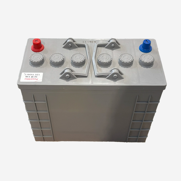 Batería tracción 24 V 110 A / C5