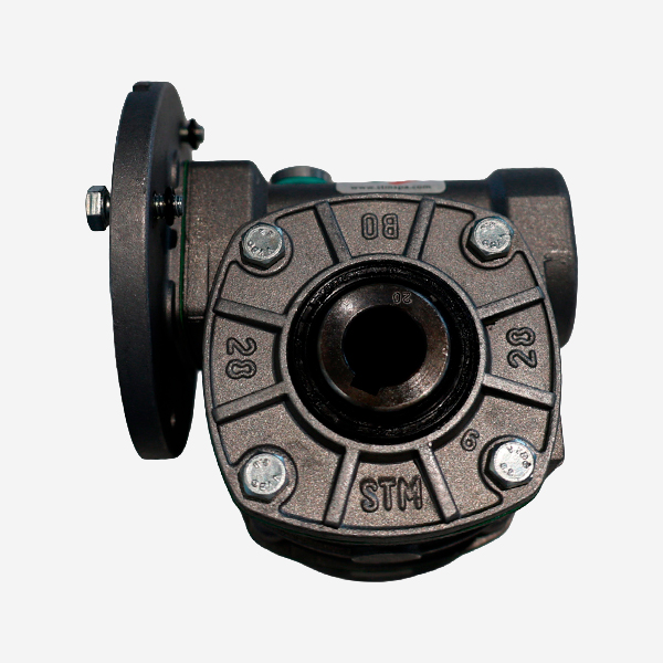FM760022 Reductor STM RMI 28 F 1/20 56B1